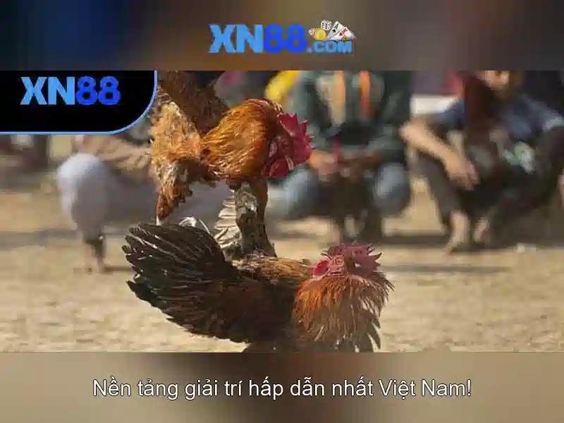 Cơ chế AI và tỷ lệ cược động của xn88